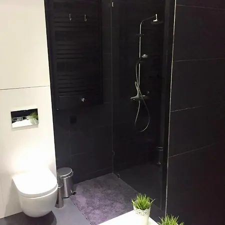 Wypoczynkowa 4 Апартаменты *